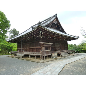 照片 日本(Japan) 京都(Kyoto) 仁和寺(Ninna ji Temple) 2010-06 42