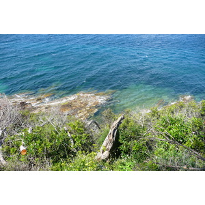 照片 法国(France) 波克罗勒岛(Porquerolles Island) 勒坎角(Pointe du Lequin) 2008-05 53
