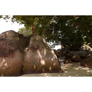 照片 塞舌尔(Seychelles) 马埃岛(Mahe) 2011-10 84