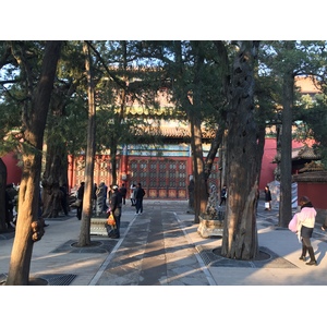 照片 中国(China) 北京(Beijing) 紫禁城(Forbidden City) 2015-12 150