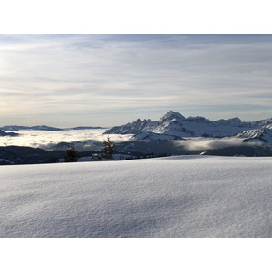 照片 法国(France) 阿尔利河畔普拉(Praz sur Arly) 2019-12 390