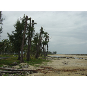 照片 泰国(Thailand) 考拉(Khao Lak) 2005-12 48