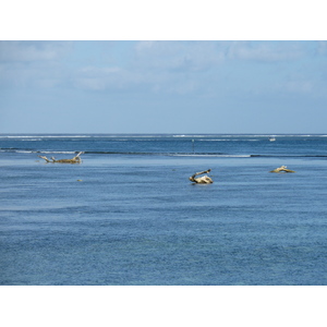 照片 斐济(Fiji) 斐济香格里拉度假酒店(Shangri La Fijian Resort) 2010-05 22