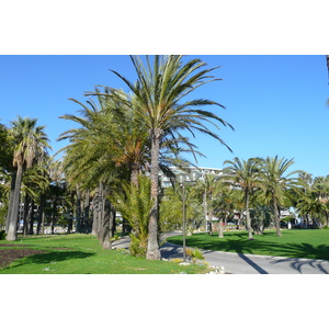 照片 法国(France) 戛纳(Cannes) 皮埃尔·康托港(Port Pierre Canto) 2008-05 7