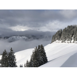 照片 法国(France) 阿尔利河畔普拉(Praz sur Arly) 2019-12 92