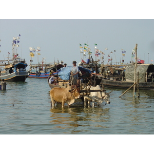 照片 缅甸(Myanmar) 茂马干海滩(Maungmagan beach) 2005-01 25