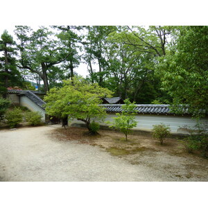 照片 日本(Japan) 京都(Kyoto) 仁和寺(Ninna ji Temple) 2010-06 37