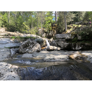 照片 法国(France) 科西嘉岛(Corsica) 艾托内森林(Aitone Forest) 2021-06 33