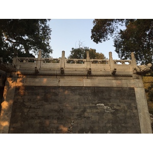 照片 中国(China) 北京(Beijing) 紫禁城(Forbidden City) 2015-12 72