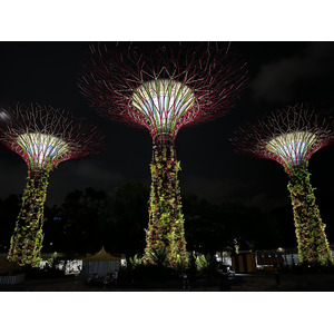 照片 新加坡(Singapore) 滨海湾花园(Garden by the bay) 2023-01 12