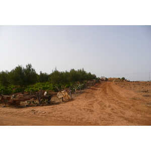 照片 摩洛哥(Morocco) 非斯至拉巴特公路(Fes to Rabat Road) 2008-07 54