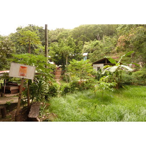 照片 塞舌尔(Seychelles) 拉迪格岛(La Digue) 2011-10 152