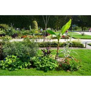 照片 法国(France) 巴黎(Paris) 巴黎植物园(Jardin des Plantes) 2007-08 126