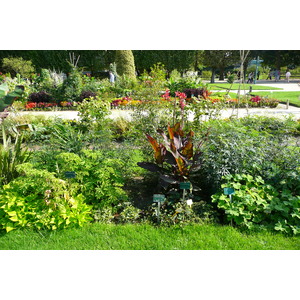 照片 法国(France) 巴黎(Paris) 巴黎植物园(Jardin des Plantes) 2007-08 156