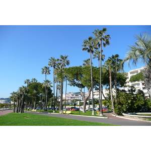 照片 法国(France) 戛纳(Cannes) 皮埃尔·康托港(Port Pierre Canto) 2008-05 40