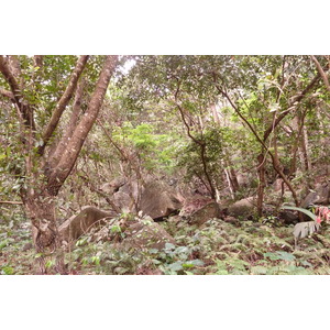 照片 塞舌尔(Seychelles) 拉迪格岛(La Digue) 2011-10 122