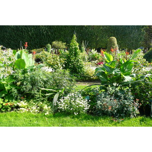 照片 法国(France) 巴黎(Paris) 巴黎植物园(Jardin des Plantes) 2007-08 63