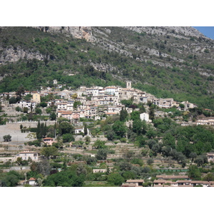 照片 法国(France) 圣让内(Saint Jeannet) 2006-05 1