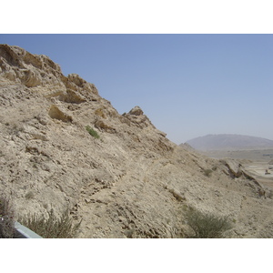 照片 阿联酋(United Arab Emirates) 艾因(Al Ain) 2005-03 99