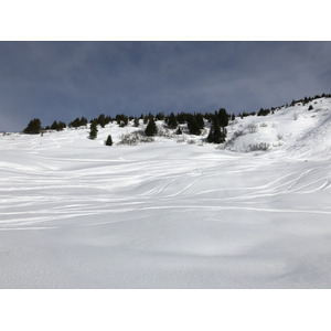 照片 法国(France) 阿尔利河畔普拉(Praz sur Arly) 2019-12 125
