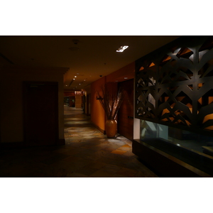 照片 约旦(Jordan) 安曼(Amman) 洲际酒店(Intercontinental Hotel) 2007-12 37
