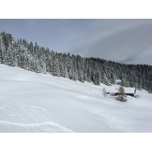 照片 法国(France) 梅杰夫(Megeve) 2016-02 126
