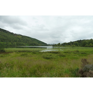 照片 英国(United Kingdom) 苏格兰(Scotland) 福里斯至阿维莫尔公路(Forres to Aviemore road) 2011-07 2