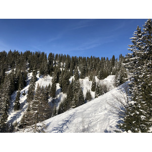照片 法国(France) 阿尔利河畔普拉(Praz sur Arly) 2019-12 332