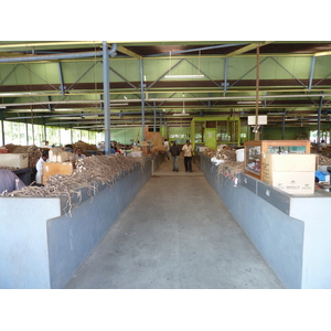 照片 斐济(Fiji) 楠迪(Nadi) 2010-05 70