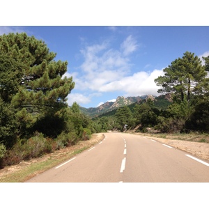 照片 法国(France) 科西嘉岛(Corsica) 奥斯佩达莱森林(L'ospedale Forest) 2012-09 4