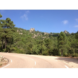 照片 法国(France) 科西嘉岛(Corsica) 奥斯佩达莱森林(L'ospedale Forest) 2012-09 5