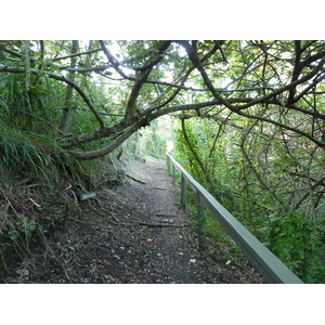 照片 斐济(Fiji) 辛加东卡沙丘国家公园(Sigatoka sand dunes national park) 2010-05 40