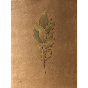 照片 意大利(Italy) 西西里岛(Sicily) 巴勒莫(Palermo) 诺曼王宫(Palazzo dei Normanni) 2020-02 85