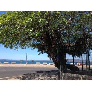 照片 哥斯达黎加(Costa Rica) 蓬塔雷纳斯(Puntarenas) 2015-03 16