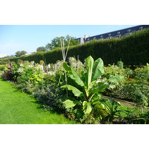 照片 法国(France) 巴黎(Paris) 巴黎植物园(Jardin des Plantes) 2007-08 229