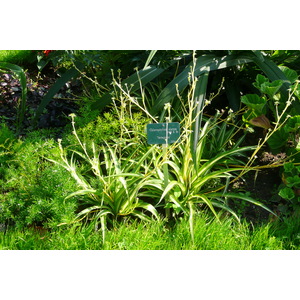照片 法国(France) 巴黎(Paris) 巴黎植物园(Jardin des Plantes) 2007-08 225