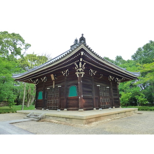 照片 日本(Japan) 京都(Kyoto) 仁和寺(Ninna ji Temple) 2010-06 60