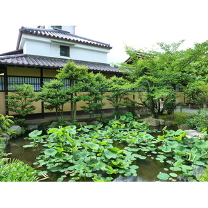 照片 日本(Japan) 京都(Kyoto) 涉成园(Shosei en Garden) 2010-06 11