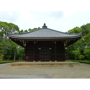 照片 日本(Japan) 京都(Kyoto) 仁和寺(Ninna ji Temple) 2010-06 62