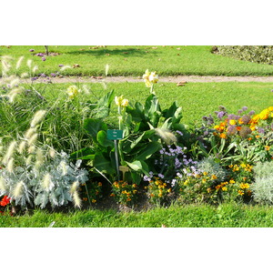 照片 法国(France) 巴黎(Paris) 巴黎植物园(Jardin des Plantes) 2007-08 39