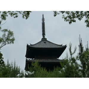 照片 日本(Japan) 京都(Kyoto) 仁和寺(Ninna ji Temple) 2010-06 11