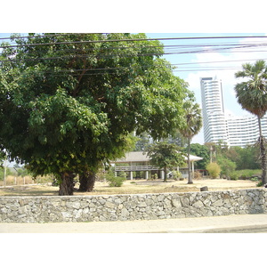 照片 泰国(Thailand) 宗甸海滩(Jomtien Beach) 2005-01 8