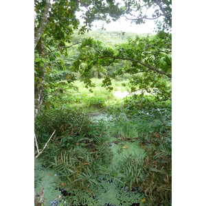 照片 塞舌尔(Seychelles) 拉迪格岛(La Digue) 2011-10 123