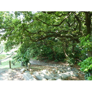 照片 日本(Japan) 东京(Tokyo) 滨离宫恩赐庭园(Hama rikyu Gardens) 2010-06 32