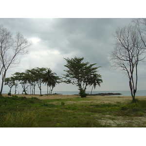 照片 泰国(Thailand) 考拉(Khao Lak) 2005-12 11
