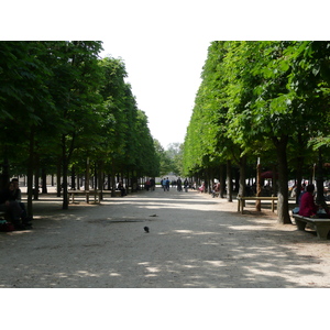 照片 法国(France) 巴黎(Paris) 杜乐丽花园(Garden of Tuileries) 2007-05 380