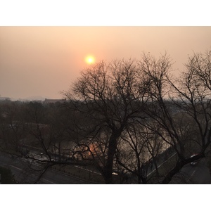 照片 中国(China) 北京(Beijing) 紫禁城(Forbidden City) 2015-12 49