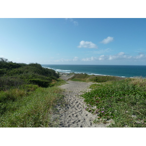 照片 斐济(Fiji) 辛加东卡沙丘国家公园(Sigatoka sand dunes national park) 2010-05 7