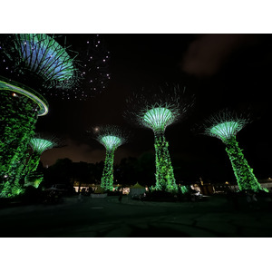 照片 新加坡(Singapore) 滨海湾花园(Garden by the bay) 2023-01 32
