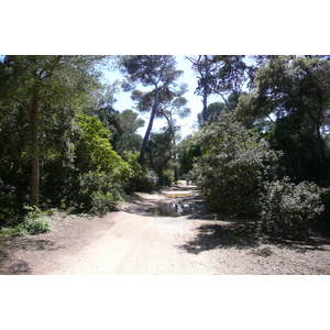 照片 法国(France) 波克罗勒岛(Porquerolles Island) 勒坎角(Pointe du Lequin) 2008-05 69